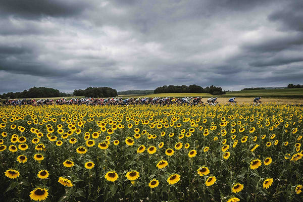 Rouleur Conversations Podcast – Tour de France final stage and Tour de France Femmes preview