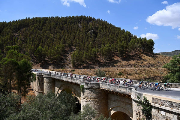 La Vuelta a España 2021 Stage 19 Preview - Breakaway or sprint?