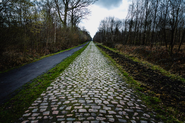 The Arenberg Forest: The Making of a Paris-Roubaix Legend