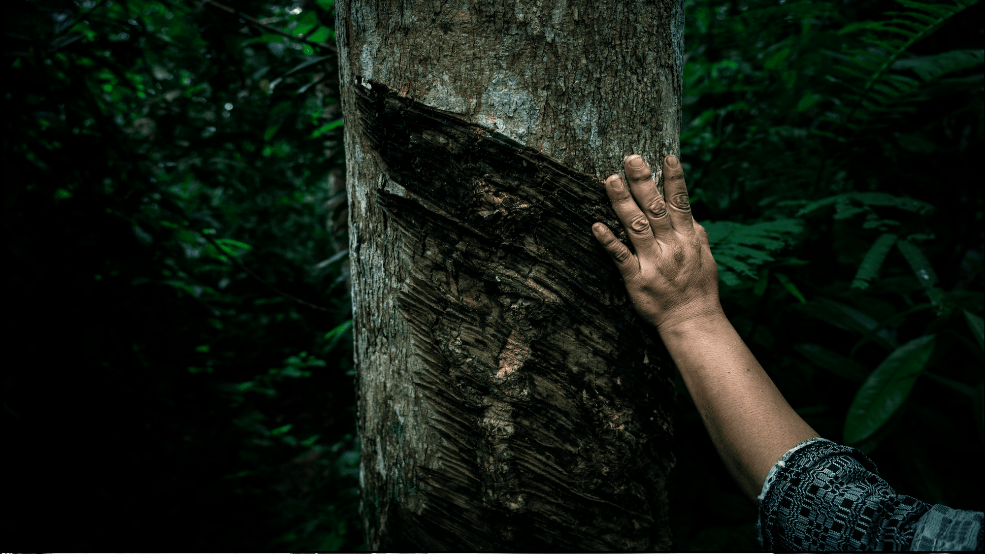 Getting a grip on sustainability: How Pirelli are tackling the climate crisis