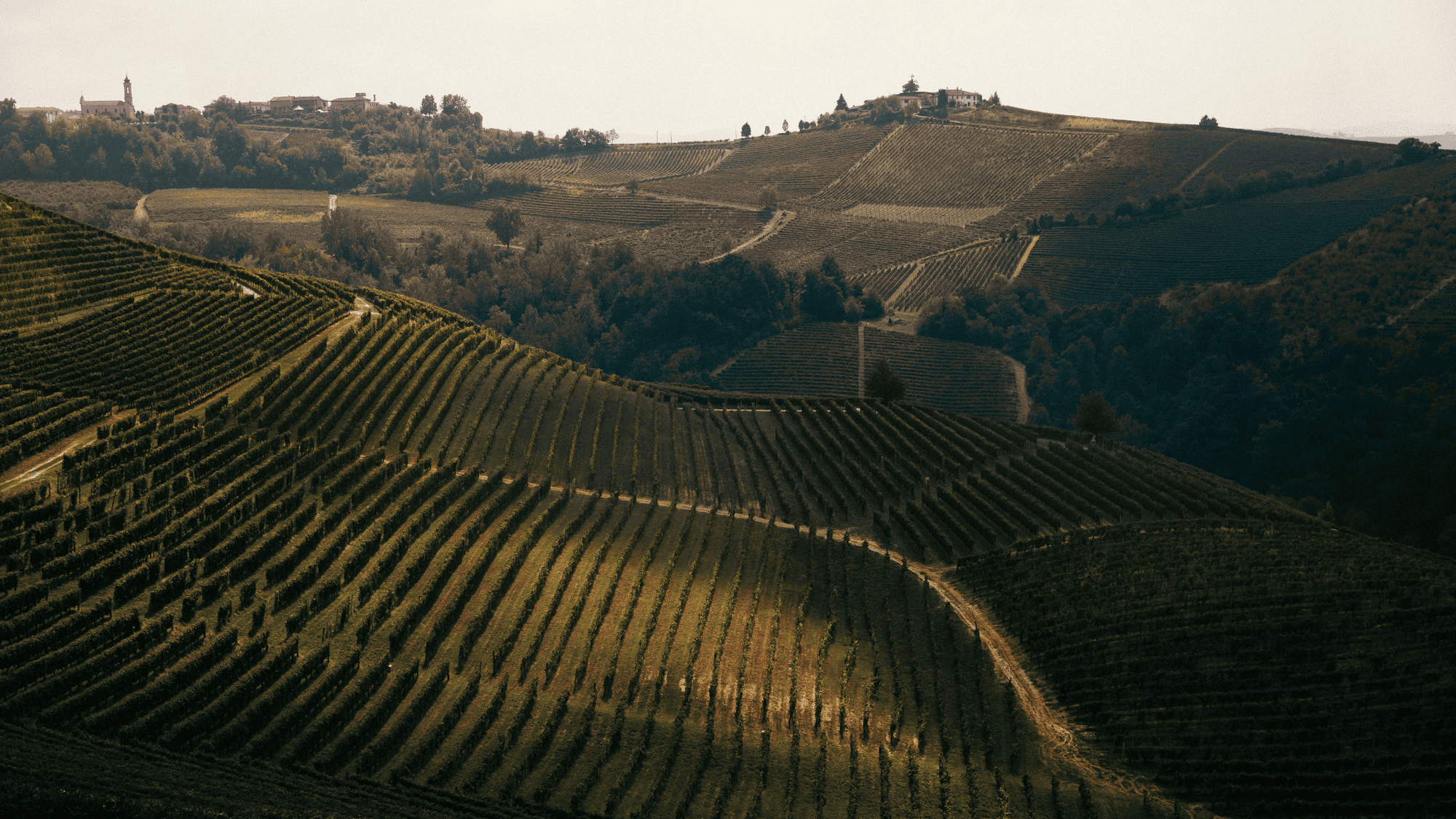 Langhe Monferrato Roero and Cuneo: Where motion meets emotion