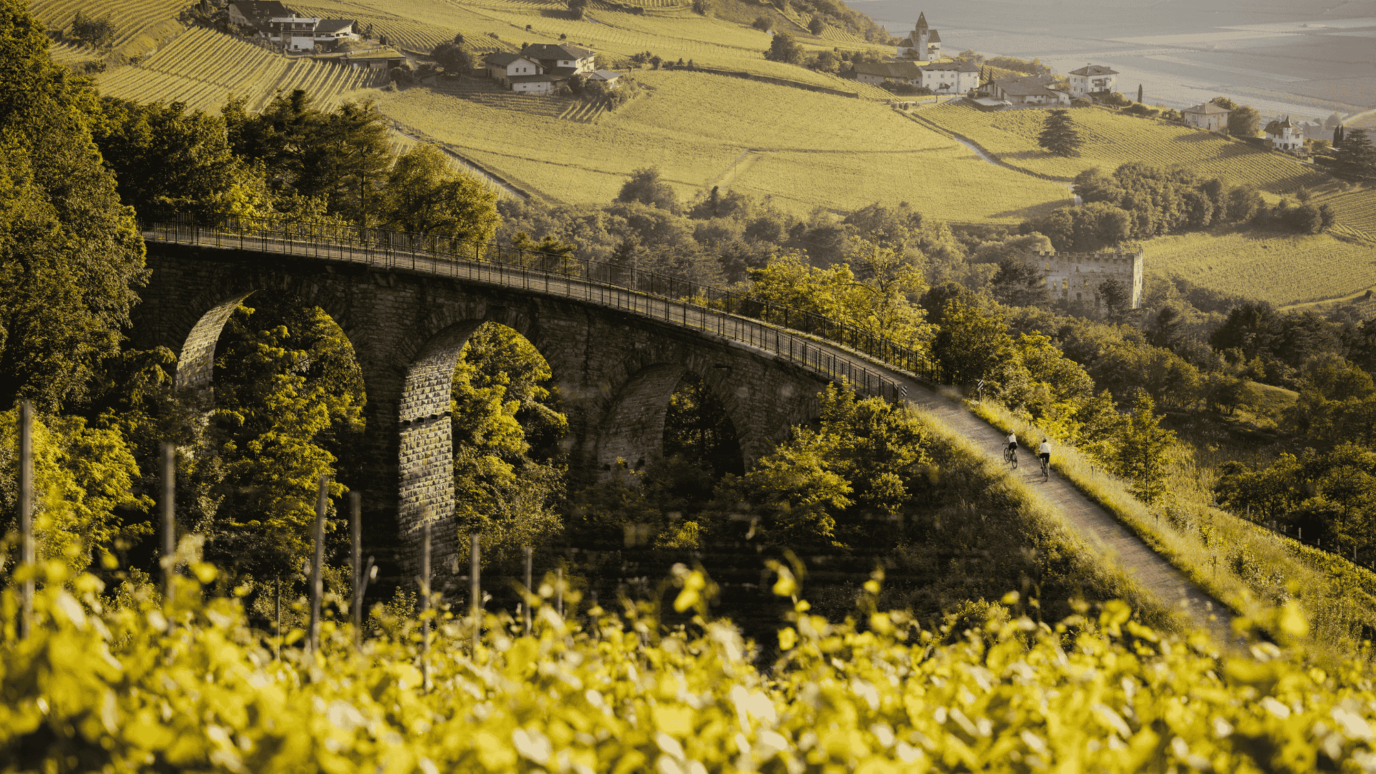 BikeHotels Südtirol: Routes between flavour and nature