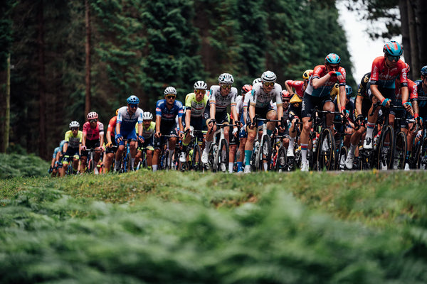 Tour de Francia 2023 - previa etapa 5: llegan los Pirineos