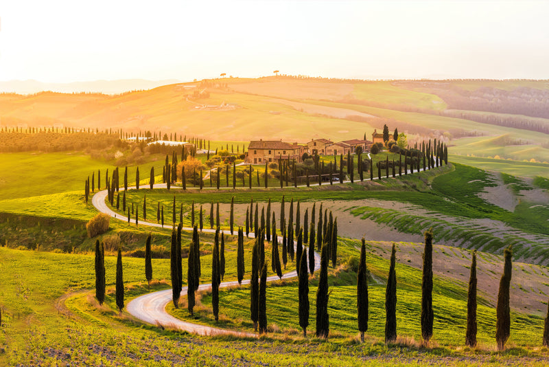 The Strade Bianche Experience 2027